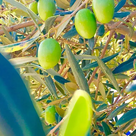 Appartement Residenza Limpiddu Budoni